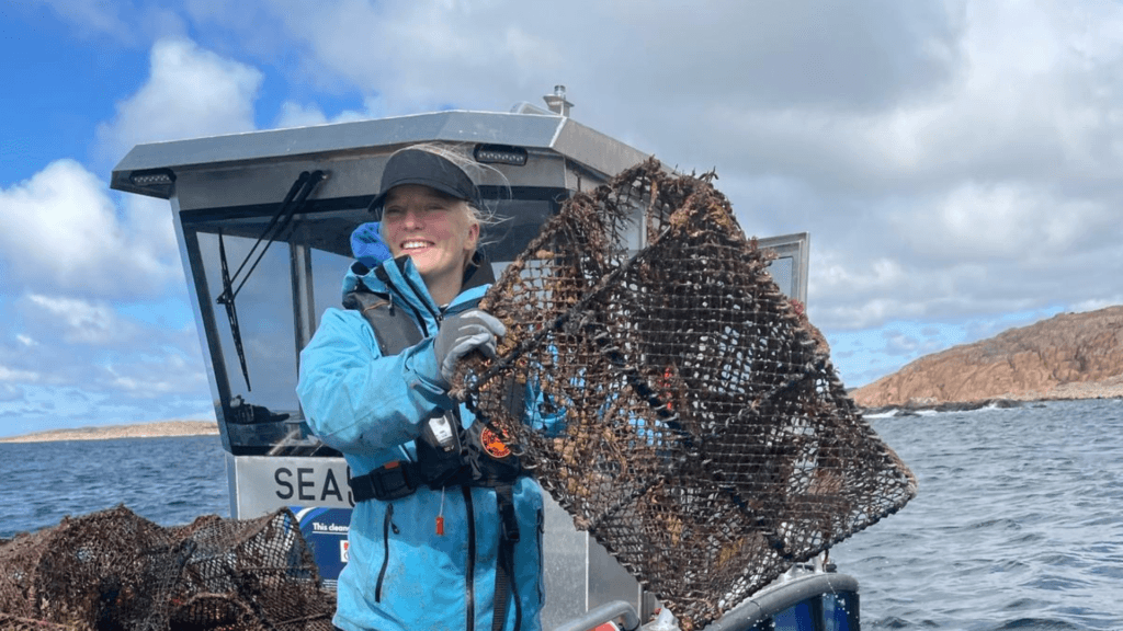 Person in a blue waterproof jacket and life vest on a small boat lifting a large rusted lobster pot above the deck with a rocky coastline in the background